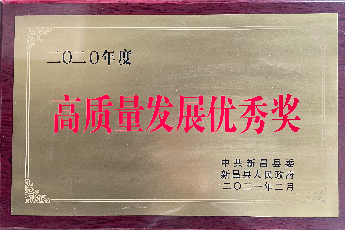高質(zhì)量發(fā)展優(yōu)秀獎-2020