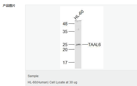 60582f4e6f605.png image.png