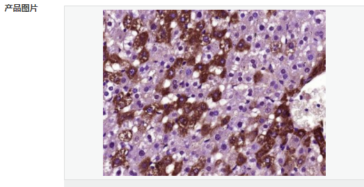 605940700f9b4.png image.png