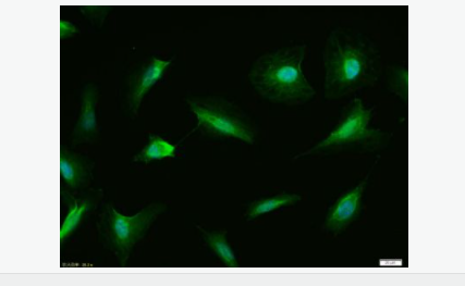 60599a0799634.png image.png