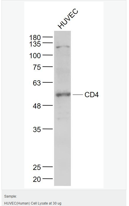 605c3f0c6c490.png image.png