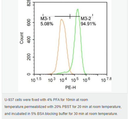 60656cf99758f.png image.png