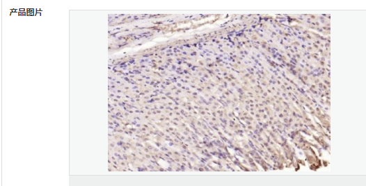 60764545c04d6.png image.png