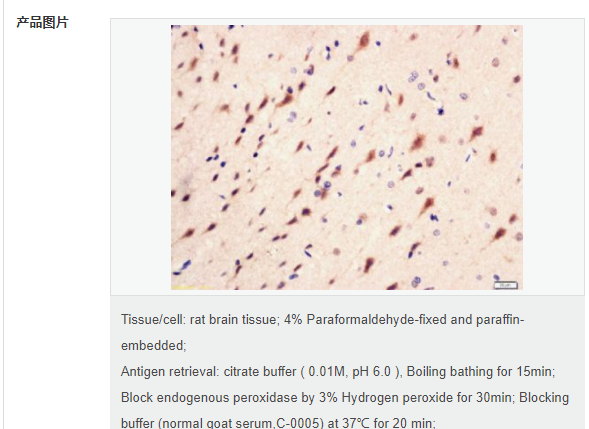 607663043c2aa.png image.png