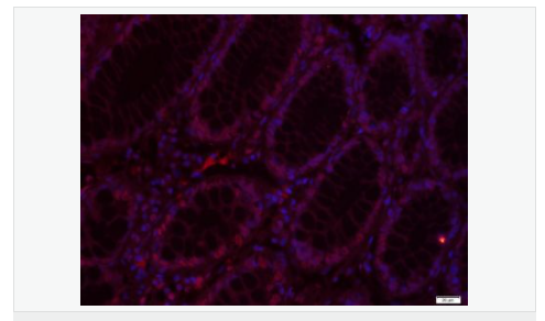 60779532cb863.png image.png