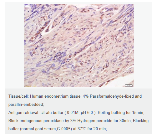 60779af6c0d00.png image.png