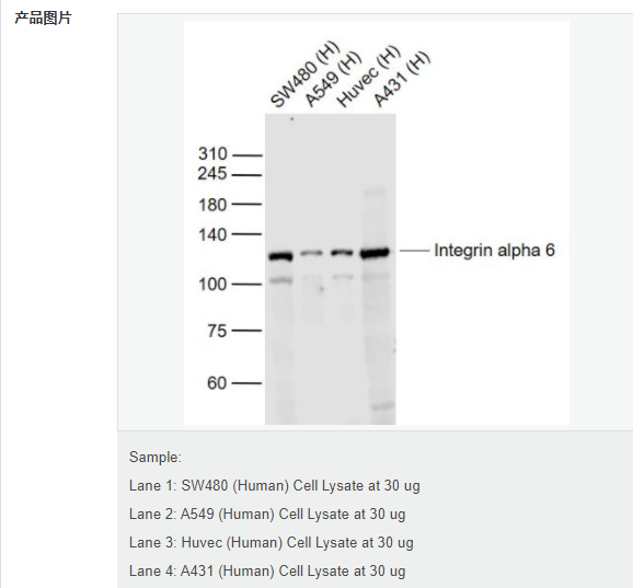 6078e0ad1dede.png image.png