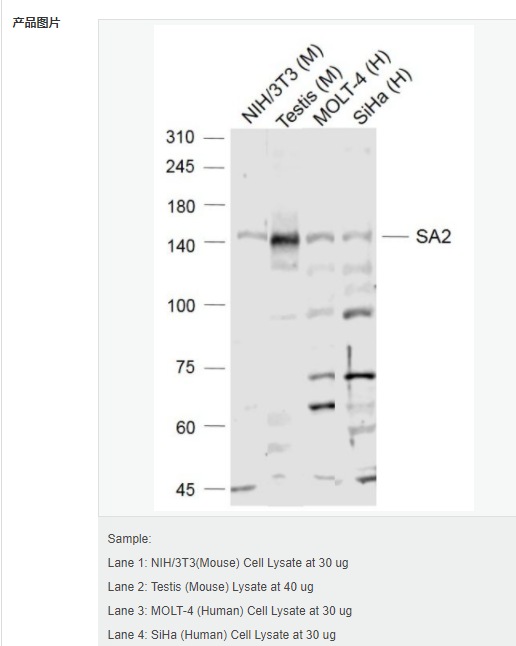 607d1feea0b26.png image.png