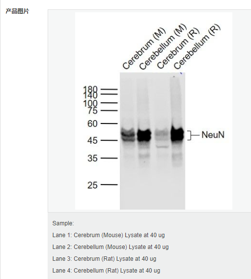 607d2b7150ce7.png image.png